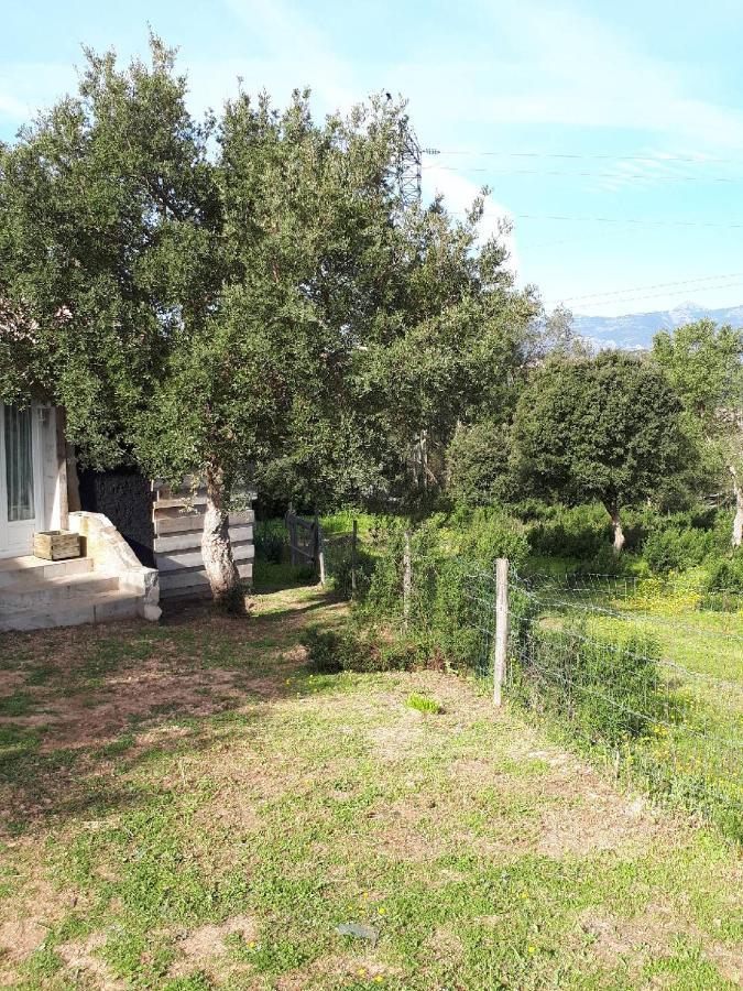 Casa Gattu Villa Porto Vecchio Exterior foto