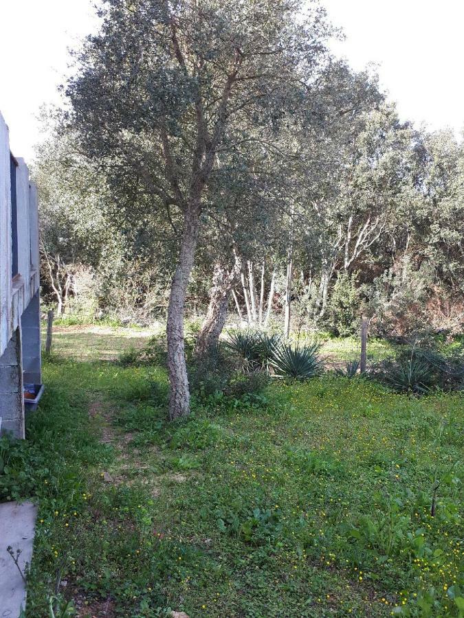 Casa Gattu Villa Porto Vecchio Exterior foto